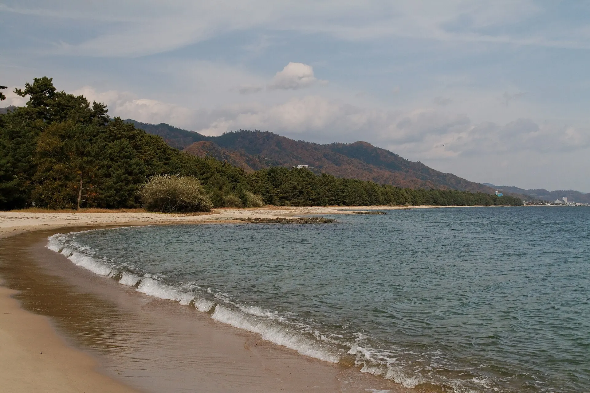 天橋立の松林と浜辺