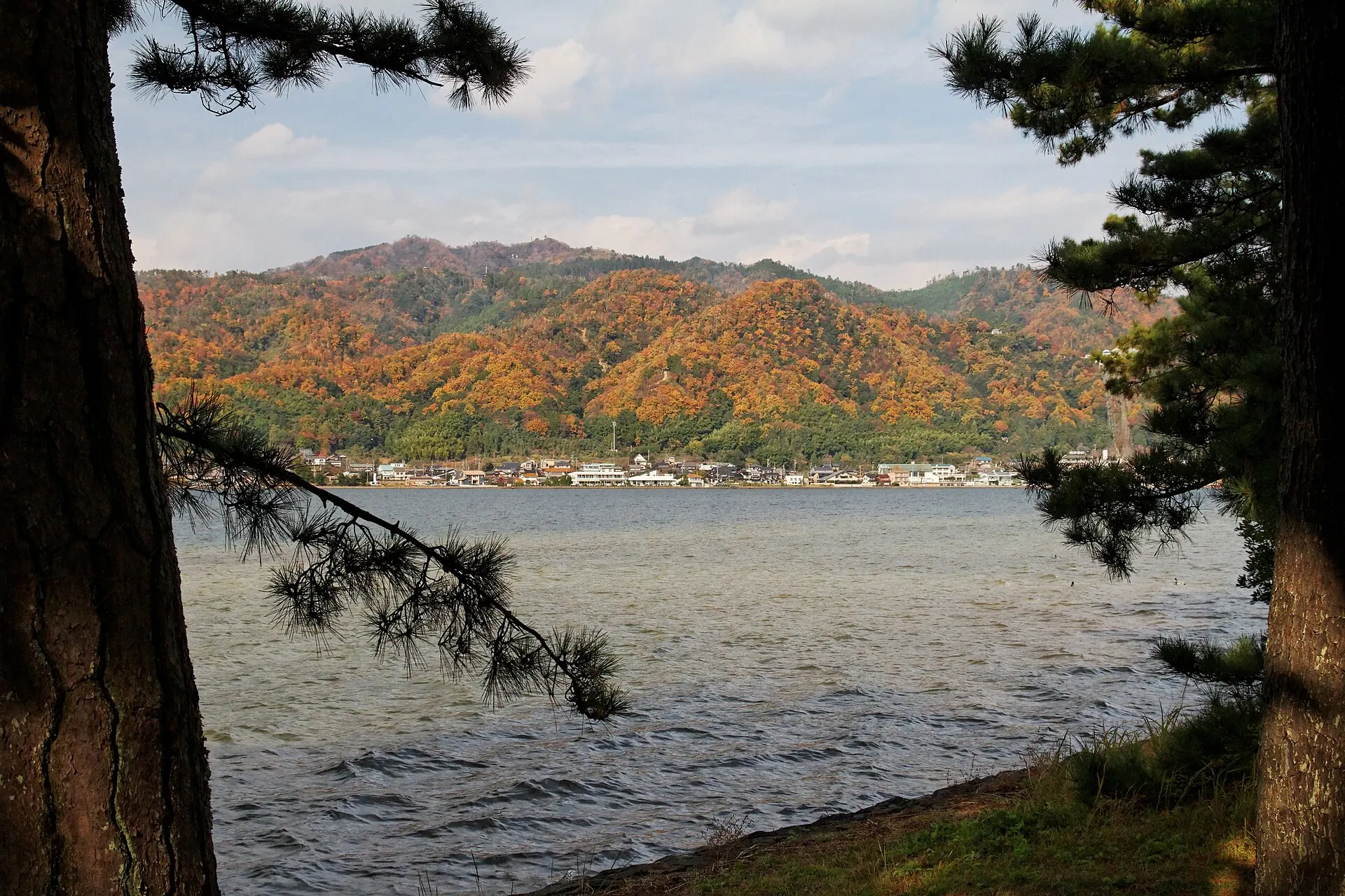 紅葉の山と天橋立の海