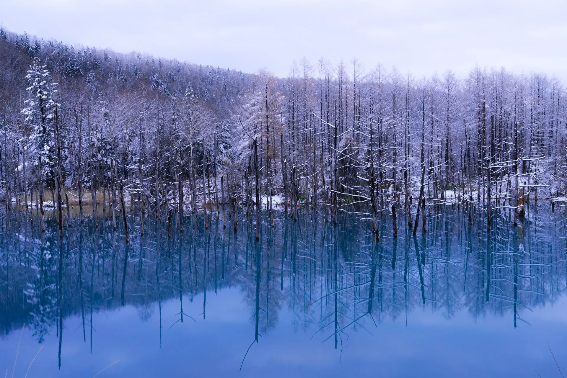 雪景色の中の白金青い池