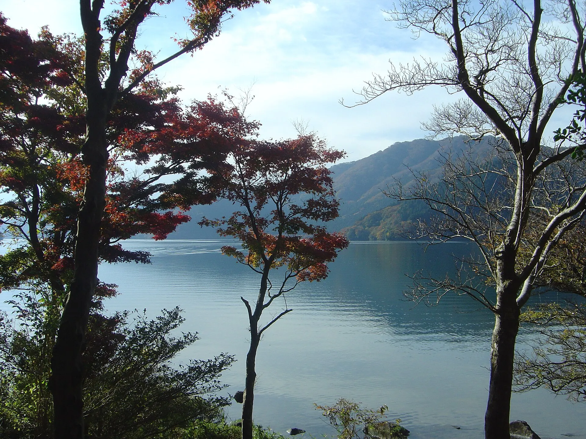 紅葉の木々の間から見る芦ノ湖