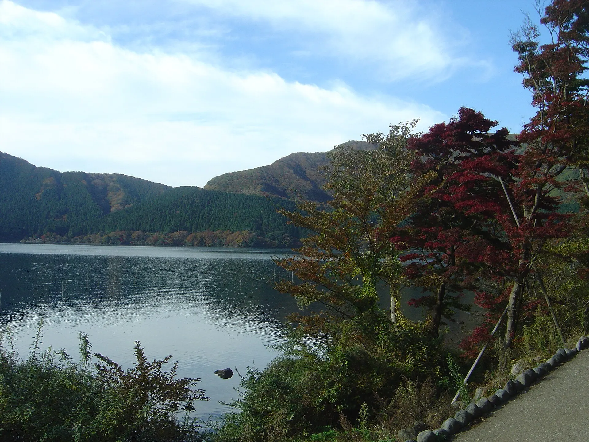 木々越しに見る秋の芦ノ湖