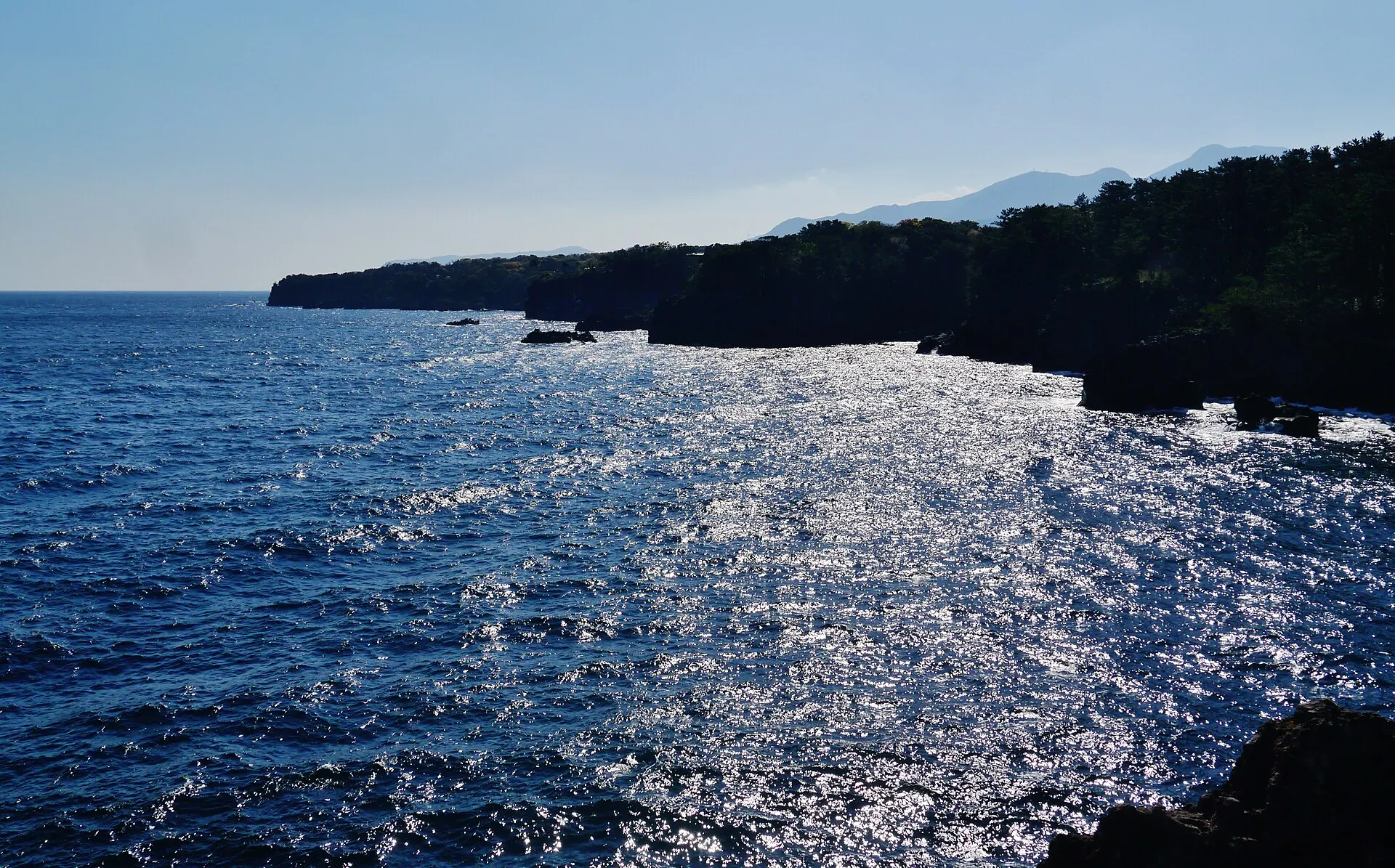 遠くの山並みと城ヶ崎の海岸線