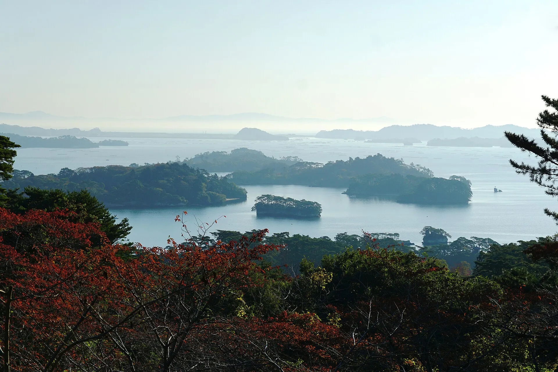 紅葉越しに見る松島湾
