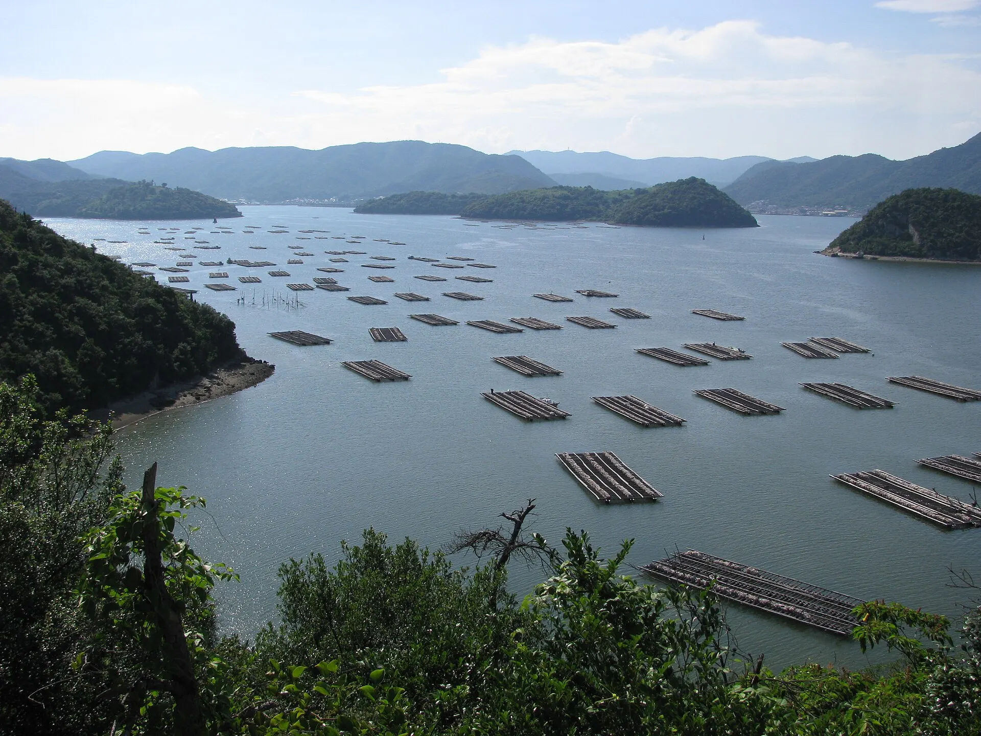 島々と入り江に並ぶ牡蠣筏