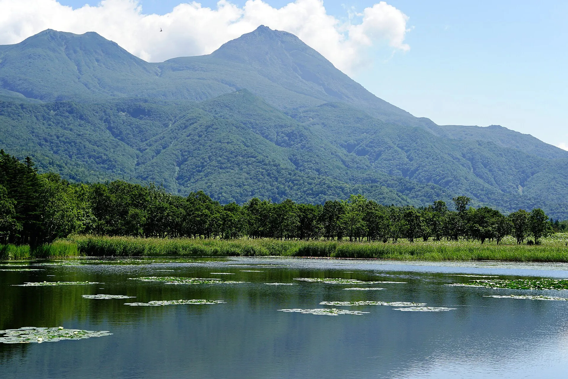湿原の向こうの知床連山と湖面