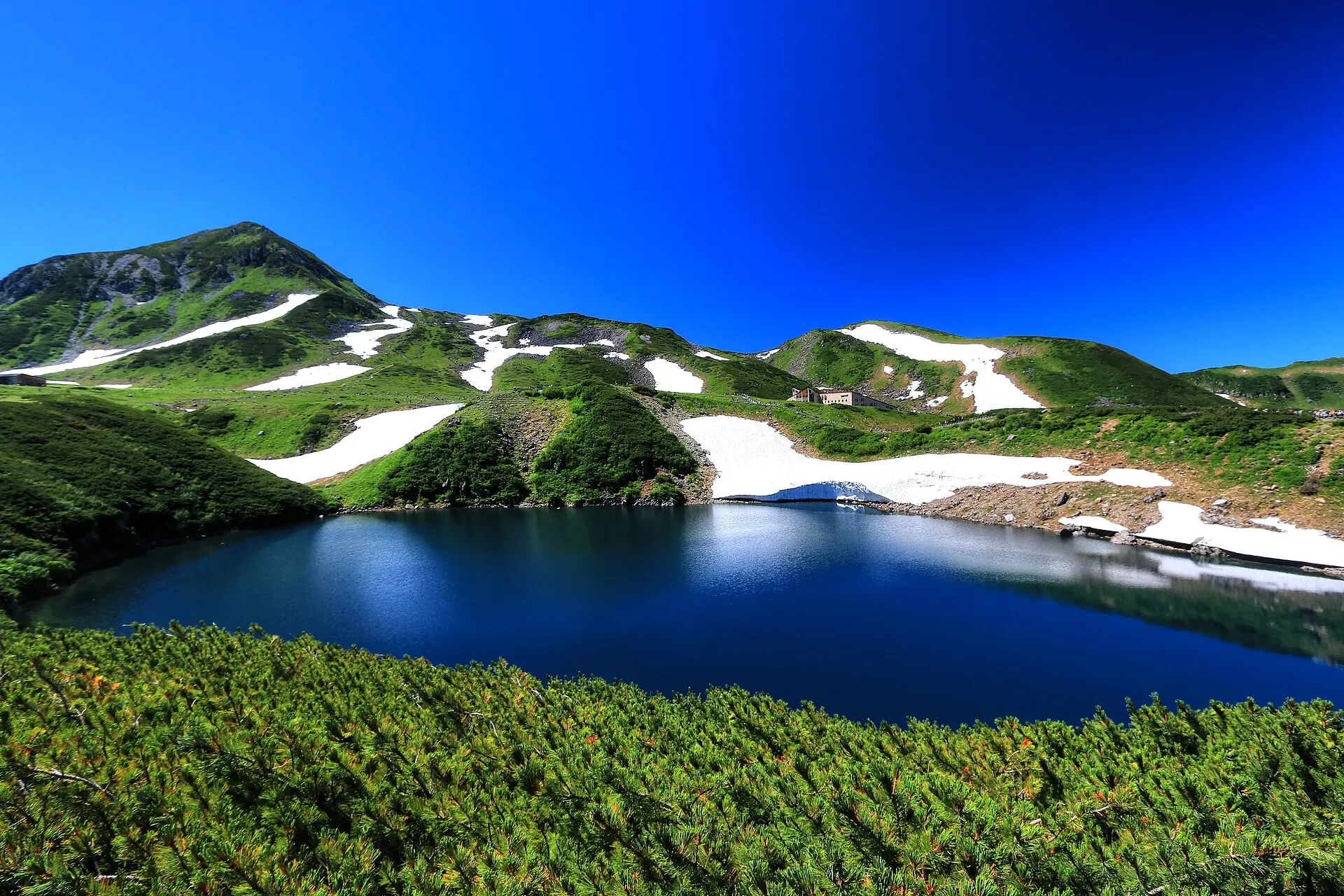 夏の高山植物に囲まれたミクリガ池